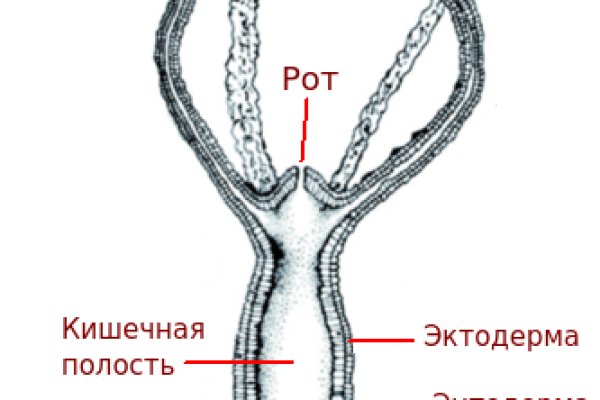 Профессор мориарти мега даркнет