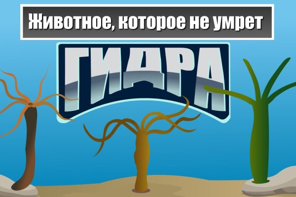 Как зайти на мегу через тор